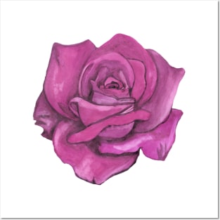 Pink rose flower Posters and Art